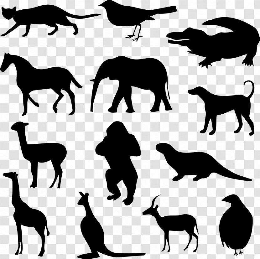 Dog Mustang Pack Animal Riddle - Blackandwhite - Figure Transparent PNG