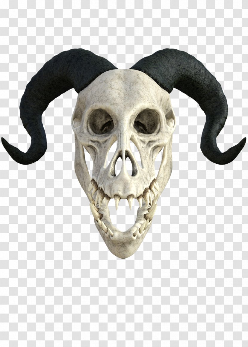 Skull Head Anatomy Clip Art - Dragon Transparent PNG