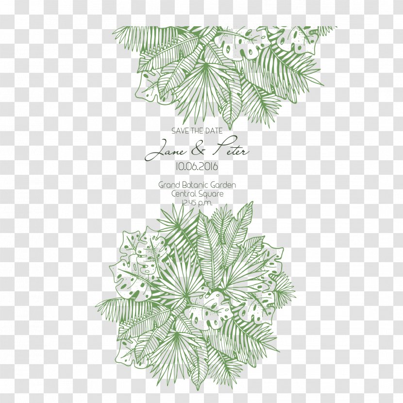 Leaf Euclidean Vector Green - Flower - Leaves, Free To Download Transparent PNG