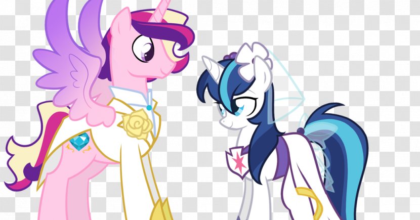 My Little Pony: Friendship Is Magic Fandom Princess Cadance Horse Gender - Frame Transparent PNG