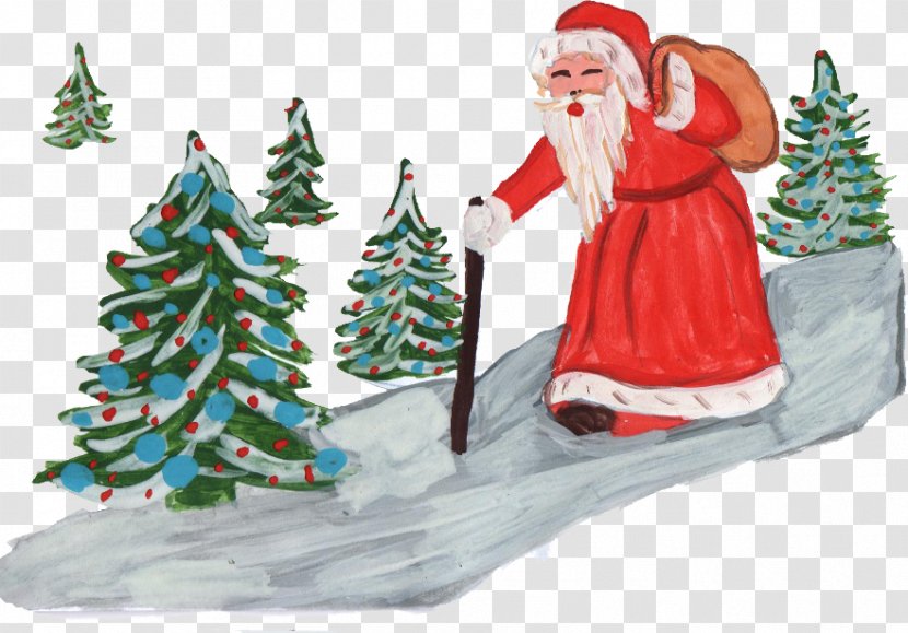 Santa Claus Christmas Decoration Ornament Tree - Fir Transparent PNG