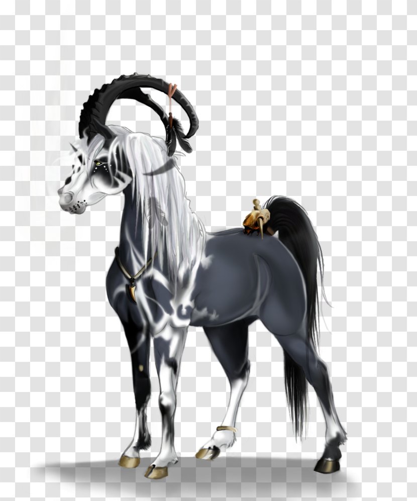 Stallion Mustang Halter Mare Horse Harnesses - Pony - Fantasy Transparent PNG