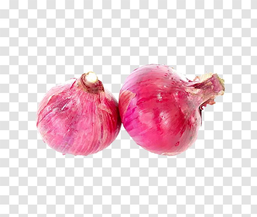 Shallot Red Onion Scallion Vegetable - Magenta - Two Onions Material Transparent PNG