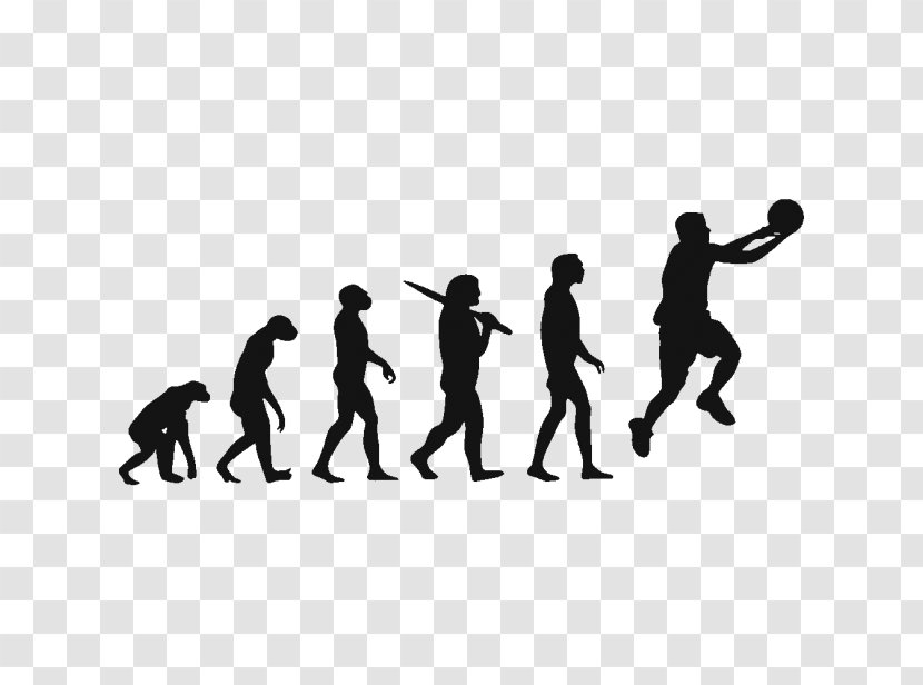 T-shirt Human Evolution Homo Sapiens Biology - Basketball Player Transparent PNG