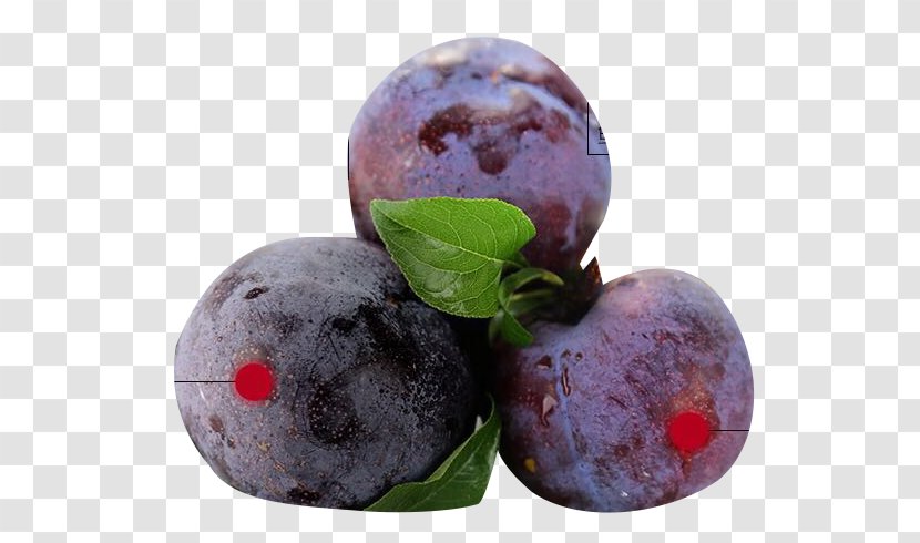 Blueberry Plum Fruit - Blackberry Material Transparent PNG