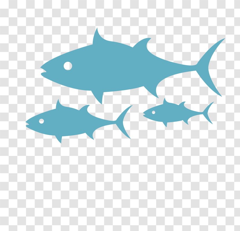 Seafood Requiem Sharks Restaurant Wholesale - Shark - Southern Fried Fish Delicious Transparent PNG