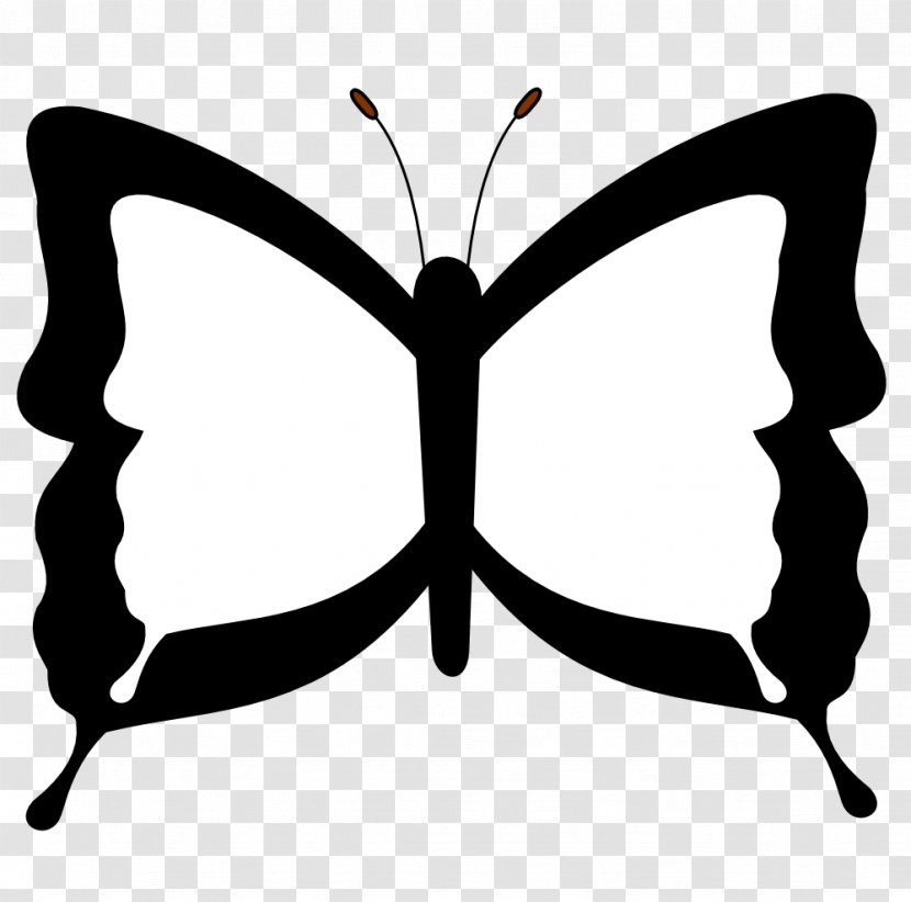 Butterfly Black And White Drawing Coloring Book Clip Art - Symmetry - Drawings Transparent PNG