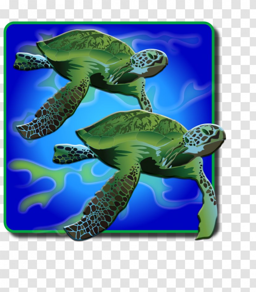 Loggerhead Sea Turtle Ecosystem Marine Biology Fauna - Reptile Transparent PNG