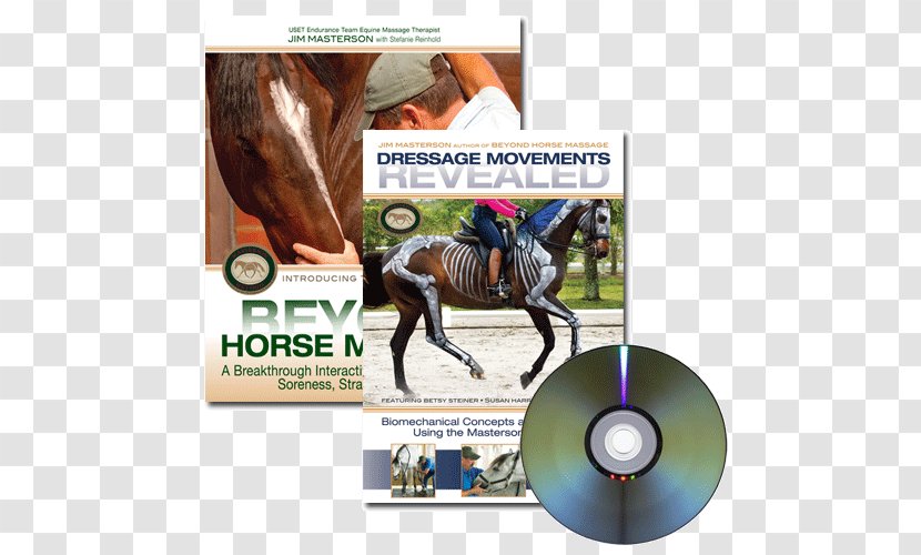 Horse Riding And Training Rein Equestrian Dressage - Tack Transparent PNG