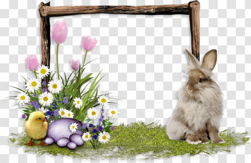 Domestic Rabbit Easter Hare - Flower Transparent PNG