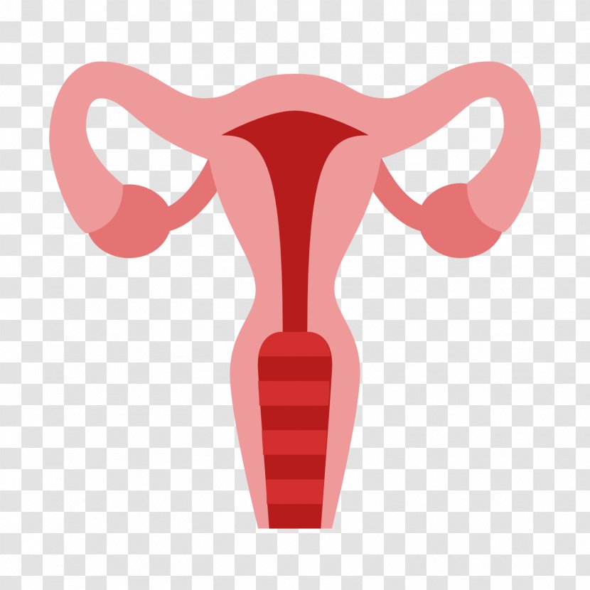 Uterus Ovary Cervix Fallopian Tube - Tree - Positioning Vector Transparent PNG