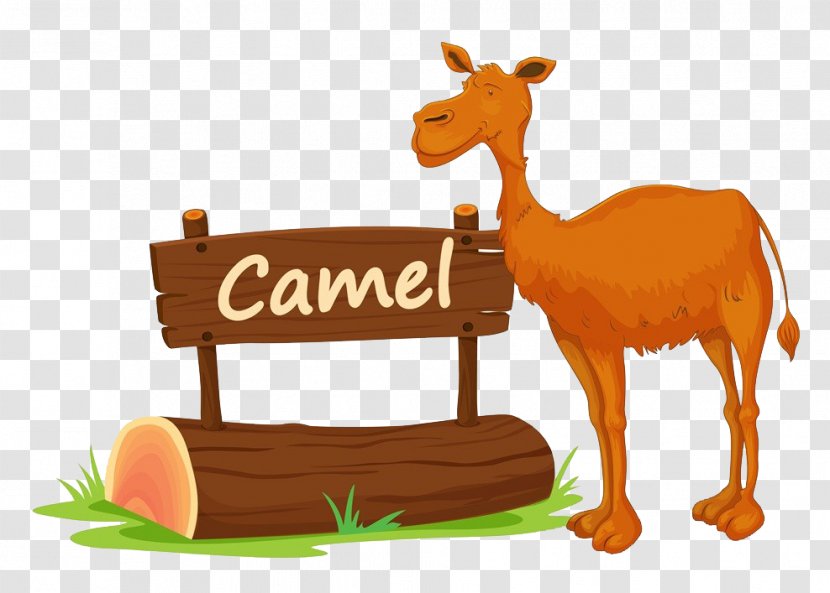 Nameplate Drawing Royalty-free Illustration - Camel Like Mammal - A Transparent PNG