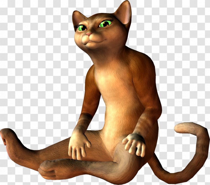 Kitten Havana Brown Whiskers Tail - 3d. Transparent PNG