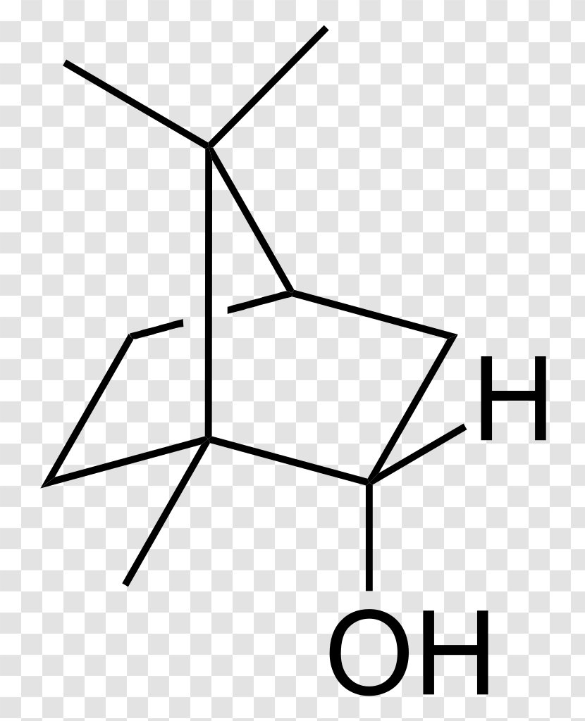 2-Methylisoborneol Terpene Fenchol Bicyclic Molecule - Tree - Cartoon Transparent PNG