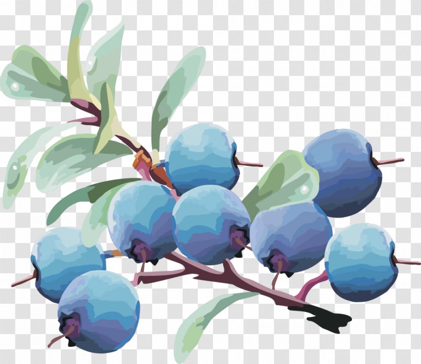 Bilberry Blueberry Fruit - Damson - Vector Lantern Fruit,blueberry Transparent PNG