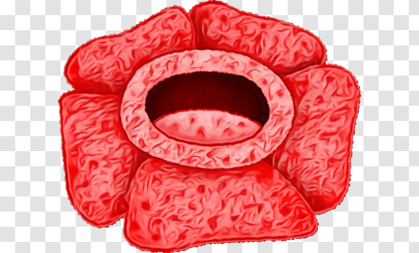 Bologna Sausage Kielbasa Transparent PNG