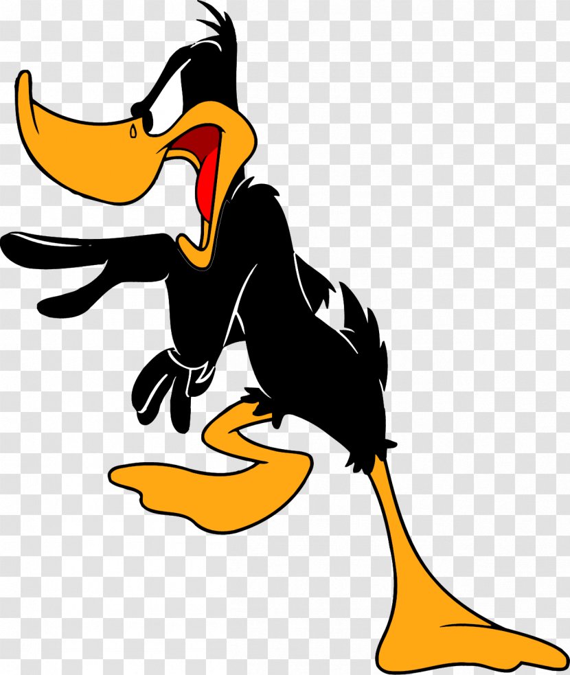 Daffy Duck Donald Cartoon - Vertebrate - Looney Tunes Transparent PNG