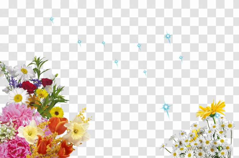 Picture Frames Desktop Wallpaper Photography Photomontage - Flower Arranging - Mama's Transparent PNG