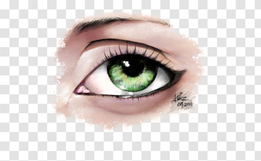 Iris Contact Lenses Eyelash Extensions Eye Shadow - Cartoon - Design Transparent PNG