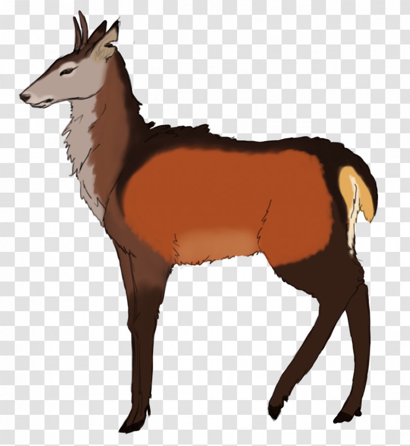 Animal Cartoon - Red Fox - Fawn Figure Transparent PNG
