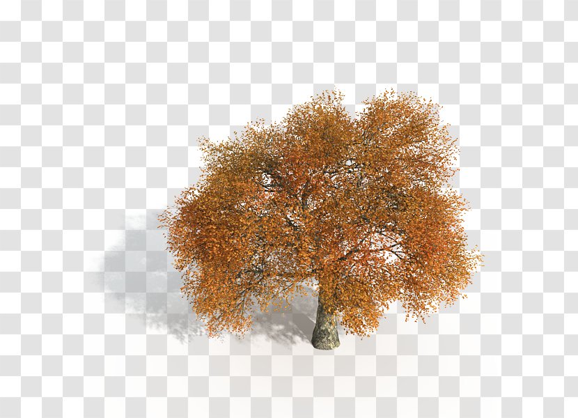 Game Tree - Autodesk 3ds Max - Yellow Transparent PNG