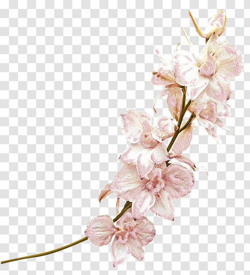 Cut Flowers Floral Design Adoration Artificial Flower - Blossom - Mystique Transparent PNG
