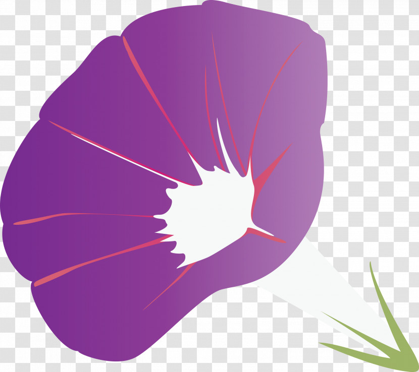 Morning Glory Flower Transparent PNG