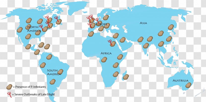 World Map Globe - Farmland Transparent PNG