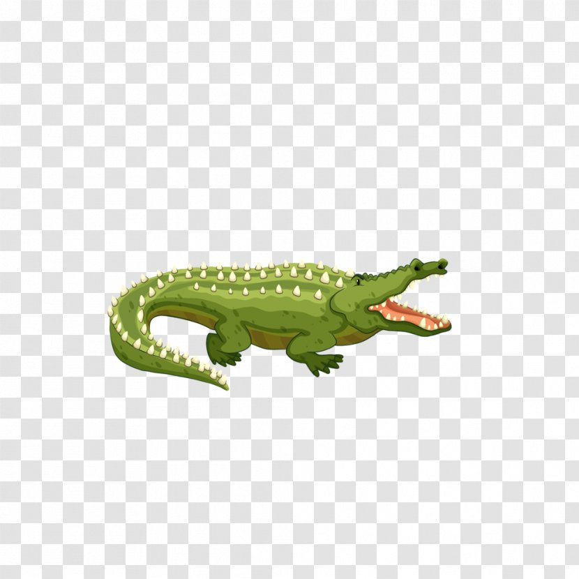 Crocodiles - Crocodile - Green Transparent PNG