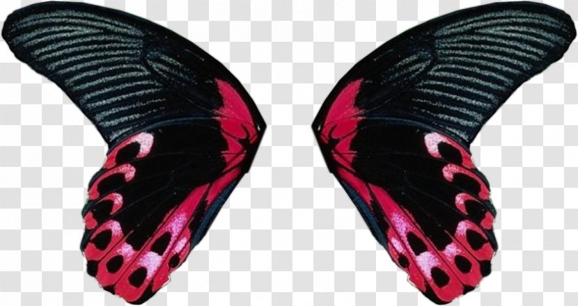 Butterfly Insect Wing Clip Art - Drawing Transparent PNG