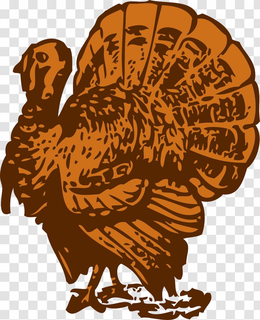 Turkey Clip Art - Chicken - Thanksgiving Transparent PNG
