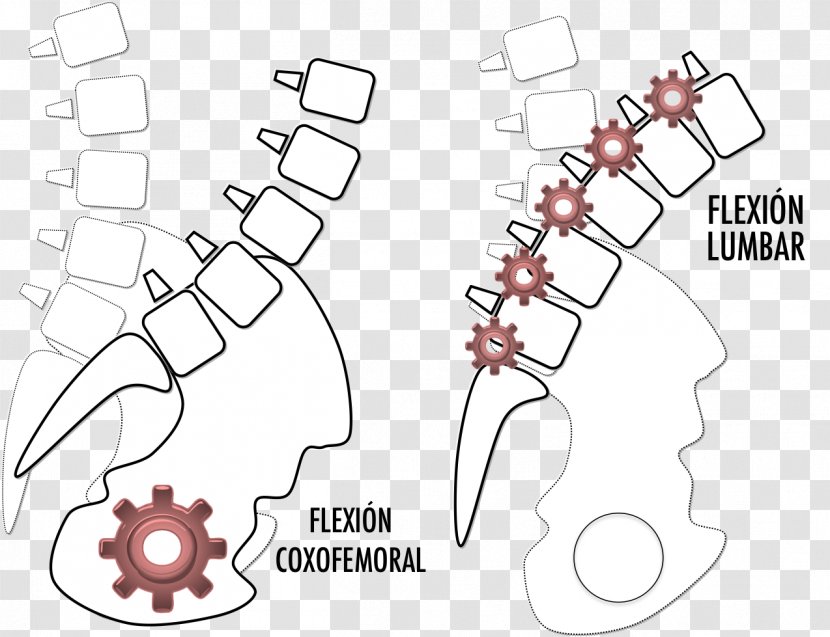 Lumbar Vertebrae Low Back Pain Abdomen - Cartoon - Design Transparent PNG