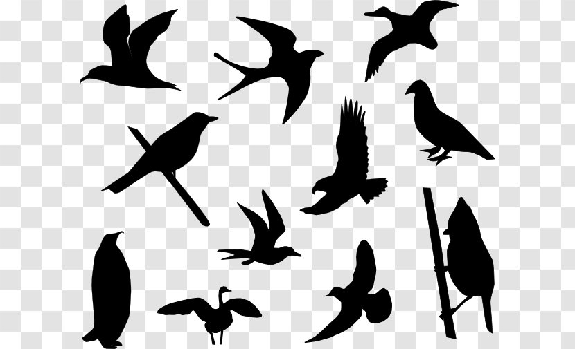 Hummingbird Lovebird Clip Art - Silhouette - Cartoon Bird Tattoo Transparent PNG