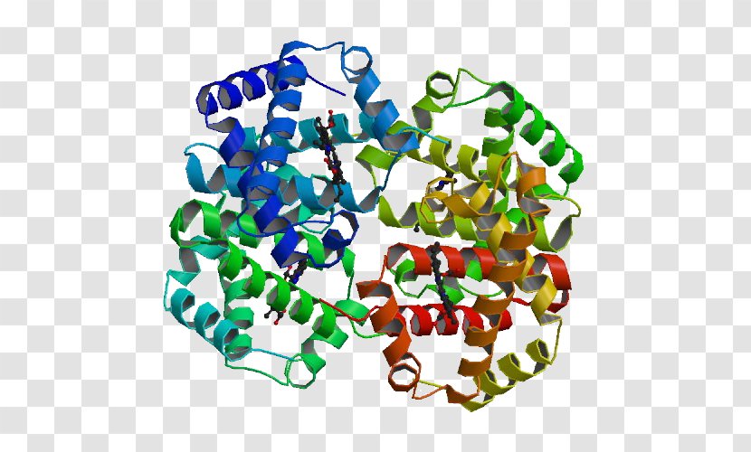 Protein Structure Cell Crystal Hemoglobin - Enzyme - Sickle Transparent PNG