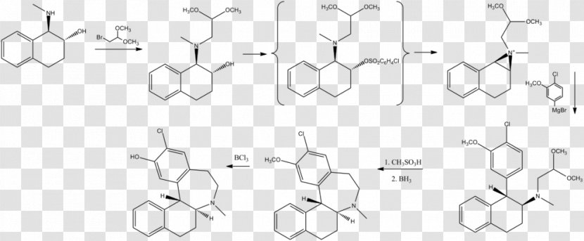 Ecopipam Receptor Antagonist Dopamine D1 - Tree - Frame Transparent PNG