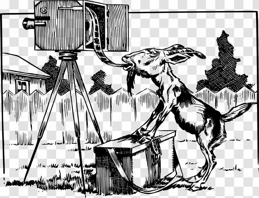 Cartoon Goat Black And White Clip Art - Comics Transparent PNG