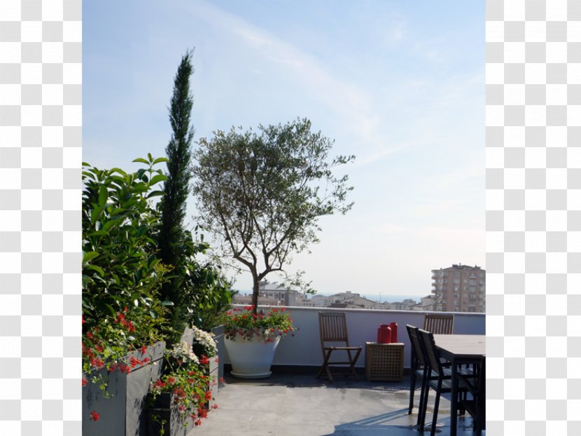 Tree Roof Property Backyard Walkway - Tourism Transparent PNG