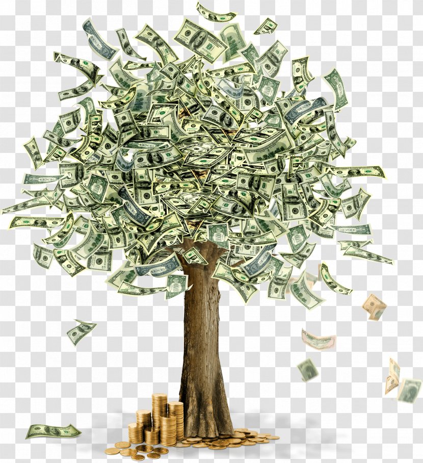 where can i buy a money tree holder