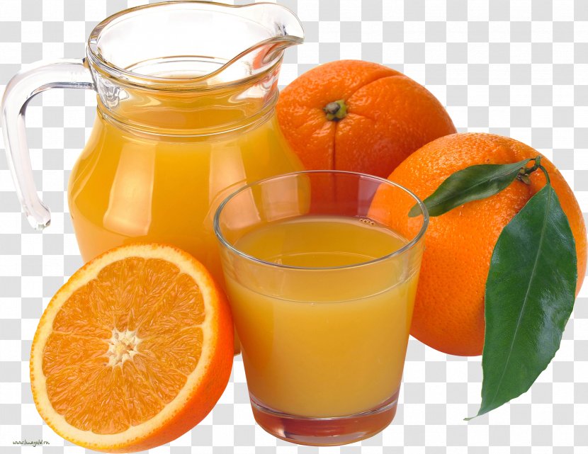 Orange Juice Grapefruit Cranberry Breakfast - Lemon Squeezer Transparent PNG