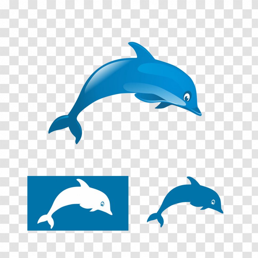 Logo Dolphin Illustration - Marine Mammal Transparent PNG