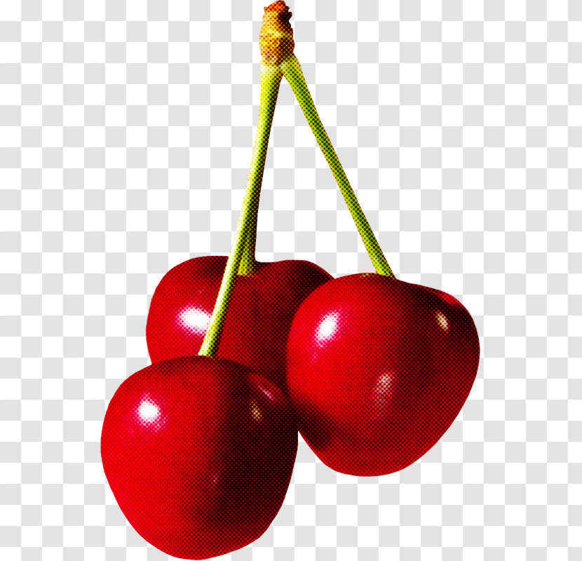 Cherry Fruit Plant Tree Currant Transparent PNG