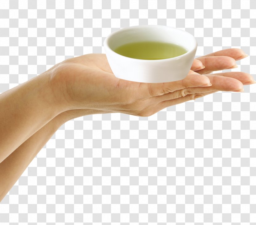 Yuja Tea Green Iced Culture - Set Transparent PNG