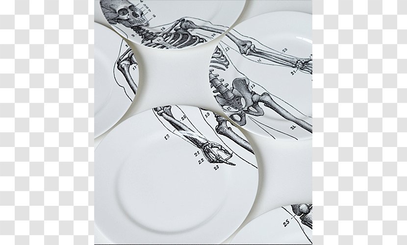 Plate Tableware Bone China Table Service Household Silver - Chinese Bones Transparent PNG