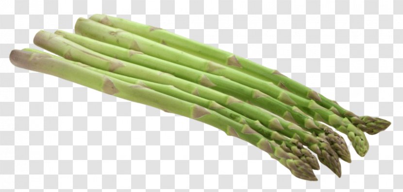 Vegetarian Cuisine Garden Asparagus Clip Art Bunch Of - Green Bean - Vegetable Transparent PNG