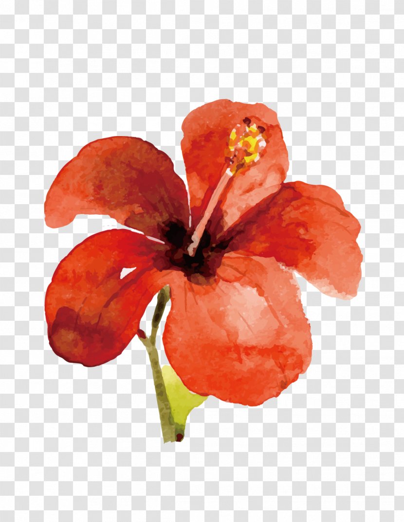 Download - Petal - Hand-painted Large Red Flower Transparent PNG