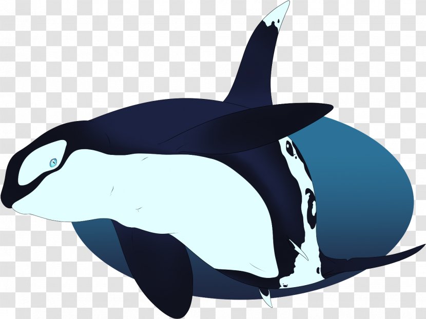 Whale Cartoon - Cetacea - Common Dolphins Fin Transparent PNG