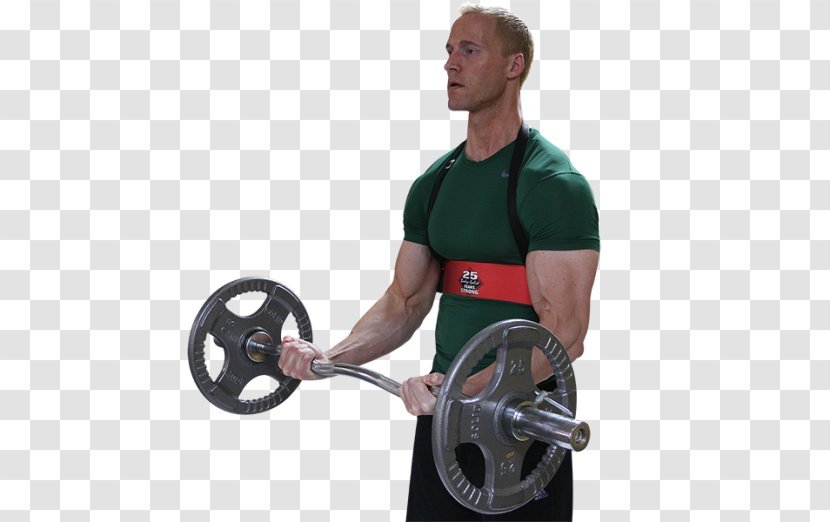 Barbell Biceps Physical Fitness Bodybuilding Shoulder Transparent PNG