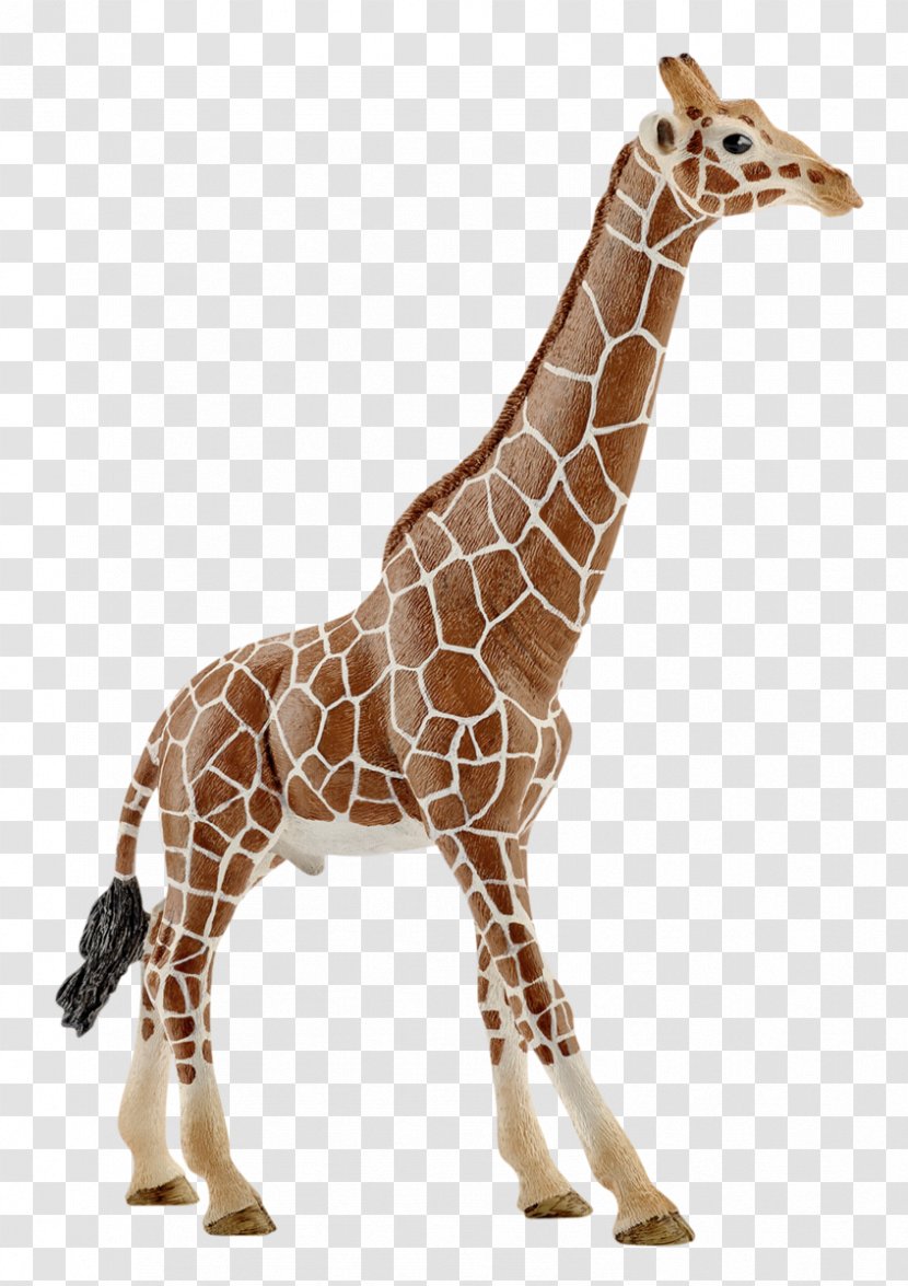 Giraffe Schleich Gr Toy Animal Figurine - Terrestrial Transparent PNG