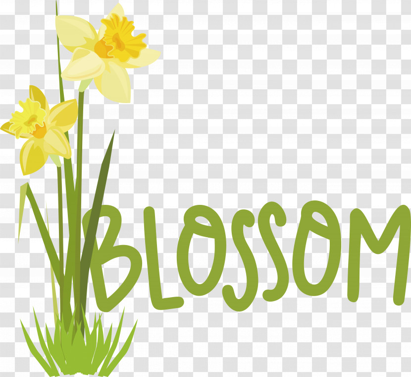 Plant Stem Daffodil Font Logo Yellow Transparent PNG