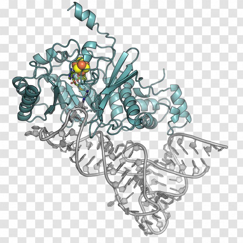 Protein Molecular Biology Genetics RNA DNA - Organism - Science Transparent PNG